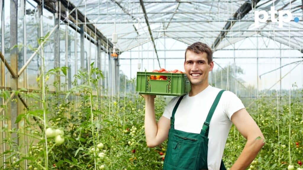 Never worry about tax again